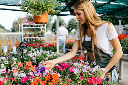 Female worker in a garden center caring for flowers