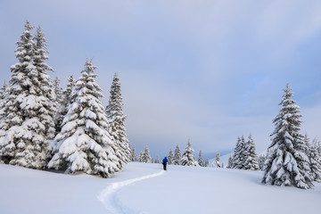 On the road on the lawn the man stands and watches the mountains. Fluffy fair trees are arround.