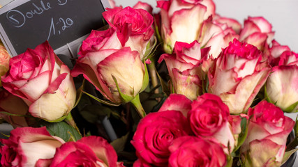 Pink gelbe Rosen, besondere Färbung mit Preisschild, Blumenladen Impressionen, romantisch, Hochzeit, Rosen der Liebe, Valentin, Valentinstag