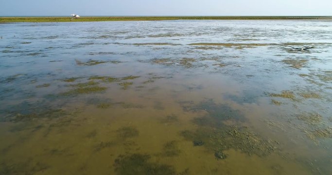 Aerial View of Danube Delta