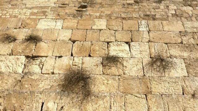 Wailing Wall (Kotel, Western Wall) useful for background. Jerusalem, Israel.