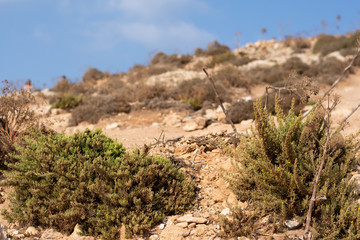 Malta's islands landscape with sea on it. Blue Grotto