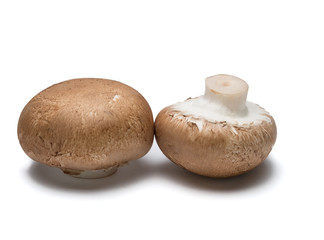 Two portobello mushrooms isolated on white