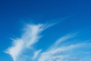 Fototapeta na wymiar Beautiful Blue Sky with white Clouds. Nature backgrounds.
