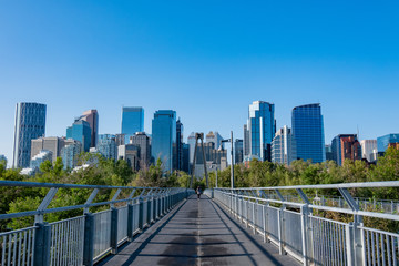 Obraz premium Morning view of the skyline and Bow River Pathway