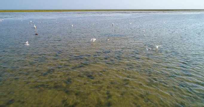 Aerial View of Danube Delta