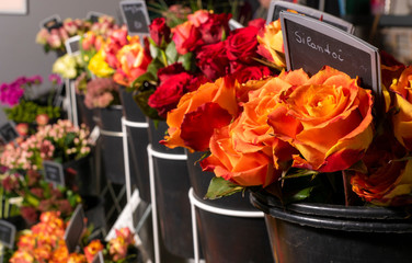Schnittblumen im Blumenladen zum Binden von Sträußen, bunte Blumenauswahl, Floristik, Blumen...