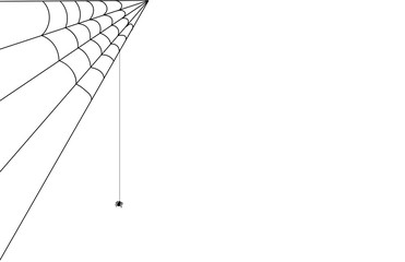 ragnatela, ragnatele, ragno, vettoriale, semplice, 