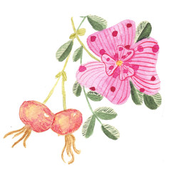 Beautiful pink flowers of wild rose, stylized in a speck and stripes, as well as its fruits. Watercolor illustration