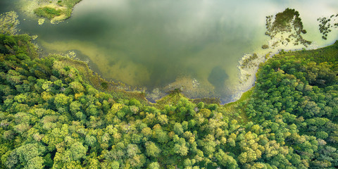 Aerial landscape from the drone- lake shore