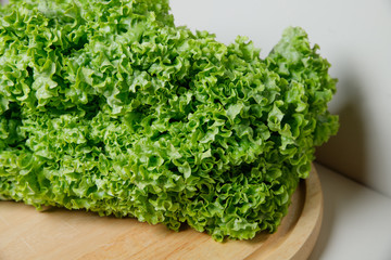 Fresh lettuce salad leaves bunch isolated on white background cutout