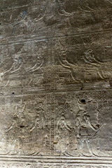 Fototapeta na wymiar Details, hieroglyphs in Temple of Horus, Edfu, Egypt