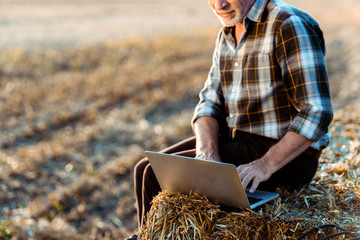 cropped view of happy self-employed farmer typing on laptop while sitting on bale of hay © LIGHTFIELD STUDIOS