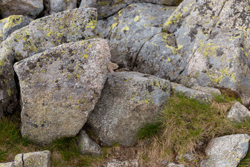 A group of stones rock. Rock mountain nature shape cliff. Trekking and tourism concept.