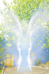 Abstract shape of an angel created by light outdoors on nature