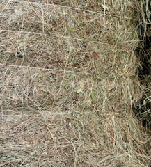 Harvested Bound Hay for Drying