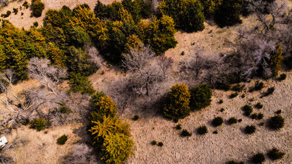 Nebraska countryside landscape trees, water, and sky with clouds