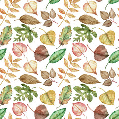 Pattern of watercolor colorful autumn leaves - red, yellow, green, orange, brown on white background.