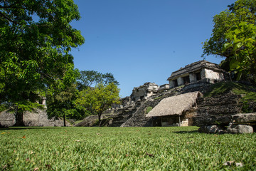 Temples of Palenque, Unesco's heritage. Yucatan, Mexico