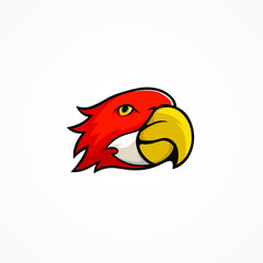 Parrot sport team mascot logo design bird