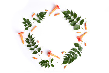  Flowers composition. Pattern made of orange flowers and leaves on white background. Flat lay, top view, copy space