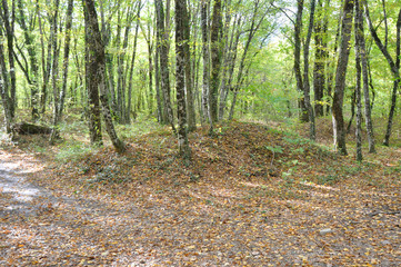 Kurgan is an ancient Adyghe burial of the VIII-XI centuries in the valley of the Zhane river. Krasnodar region, Russia
