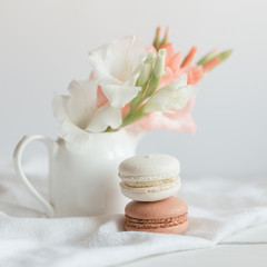 Fototapeta na wymiar Two pastel French macarons and flowers in a jar on a white background.