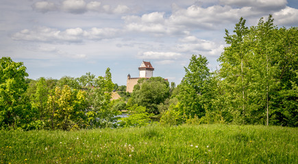 Narva or Hermann castle on a sunny day seen through trees. 