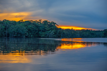 Sunset reflection in a lagoon inside Yasuni national park, Amazon Rainforest, Ecuador.