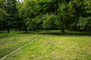 ordinary greenery park outdoor nature scenic view grass meadow and narrow ground trail 