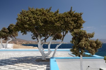 Fototapeta premium petite place à Milos