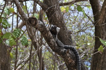 João Pessoa, Brazil