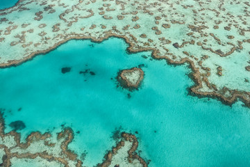 Fototapeta na wymiar Heart Reef