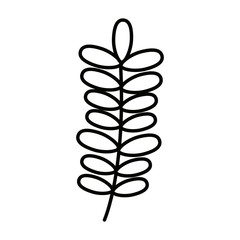 Isolated leaves vector design