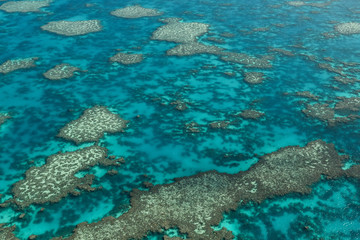 Great Barrier Reef
