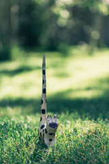 Vintage old-fashioned retro Halloween outdoor decorations. Wooden beige cat toy with long tail.