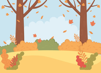 forest autumn season landscape scene