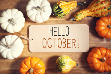 Hello October message with collection of pumpkins on a wooden table - obrazy, fototapety, plakaty