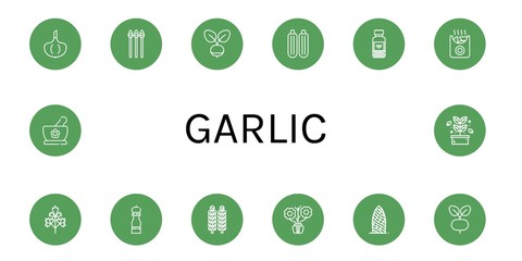 Set of garlic icons such as Garlic, Asparagus, Radish, Zucchini, Spices, Potatoes, Parsley, Pepper, Brussels sprouts, Aromatic, Gherkin, Herbs, Herb , garlic