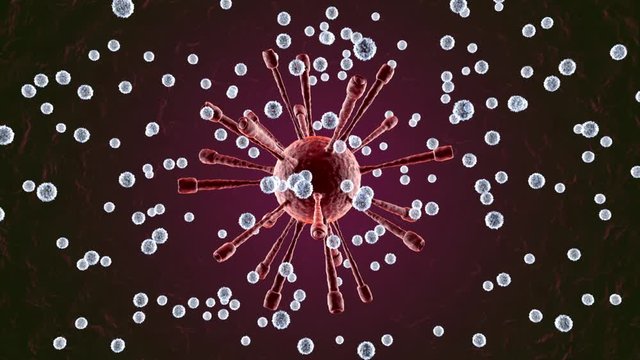 3D rendered Anatomy visualisation of Leukocytes attacking a Virus in the human Body.