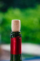 Cork plug on wine bottle with green defocused garden background