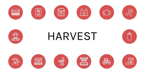 Set of harvest icons such as Cherry, Corn, Pumpkin, Blackcurrant, Farmer, Smart greenhouse, Producer, Seeder, Tractor, Flour , harvest