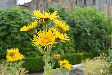 Buckfast Abbey Gardens, Devon, England