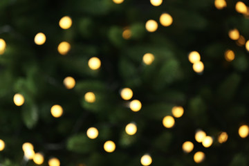 Abstract background with blurred yellow Christmas lights, bokeh effect