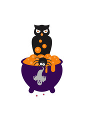 Halloween, Eagle owl made a potion from a spider)