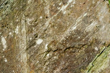 Macro Close Up of a Large Cut Boulder as a Background Texture