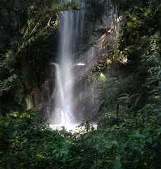 Obraz premium cascada Iguazu