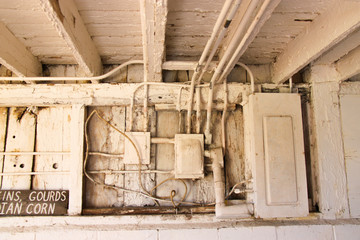 Country Living - living with Nature