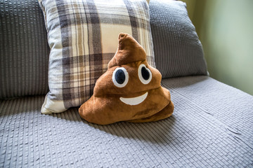 Bed with gray bedding and decorative pillow with poop emoticon for child tween teen bedroom