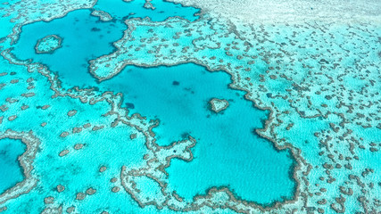 Aerial view of Great Barrier Reef in Whitsunday's Queensland Australia, famous love heart reef. - obrazy, fototapety, plakaty